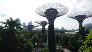 Gardens by the Bay – priser, öppettider och tips